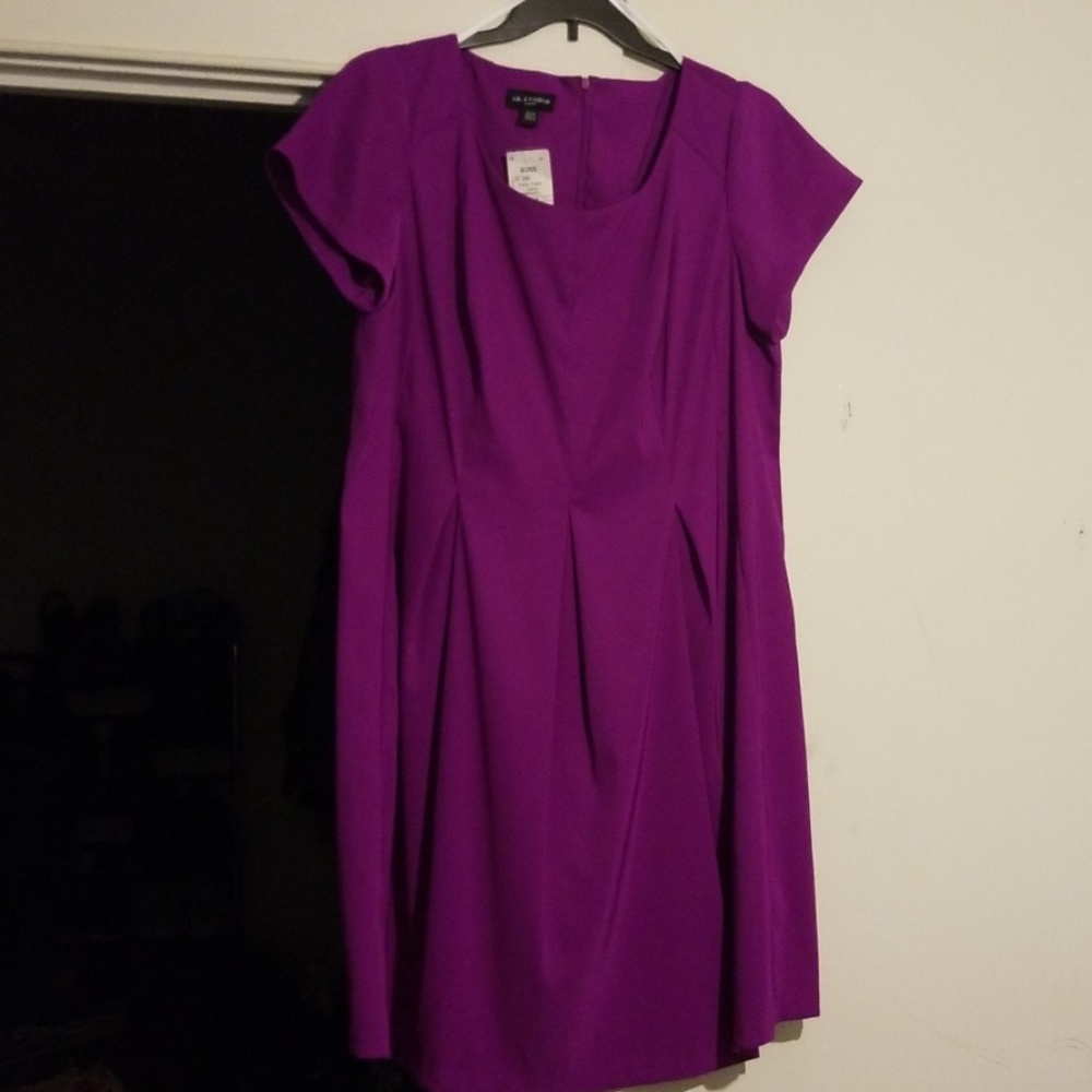 Fuscia Dress